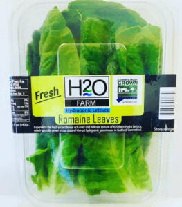 Romaine lettuce in a package